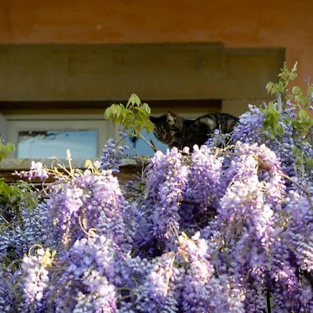 Bed & Breakfast Il Casale Di Rossi *